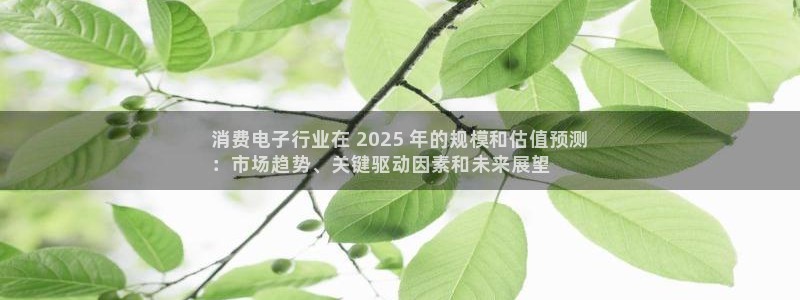 凯发k8手机客户端|消费电子行业在 2025 年的规模和估值预测
：市场趋势、关键驱动因素和未来展望